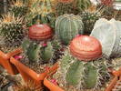 DSCF5548