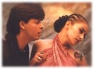 dilse1