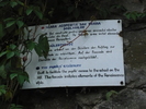 P1040555