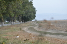 Dunavat 25 09 2010 056