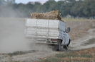 Dunavat 25 09 2010 075