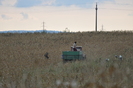 Dunavat 25 09 2010 093