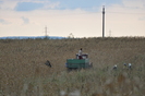 Dunavat 25 09 2010 094