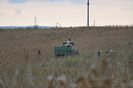 Dunavat 25 09 2010 097