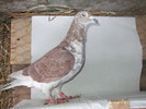 DSCF0870