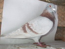 DSCF0881