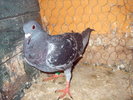 DSCF1567