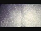bscap0141