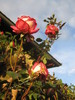 22 septembrie 075
