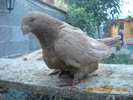 DSCN4588