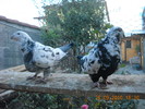 DSCN4492