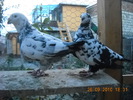 DSCN4496