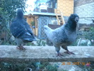 DSCN4574
