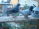 DSCN4578