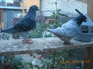 DSCN4579