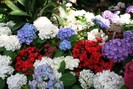 JGW4U1A0VJ9W4MH8XID36LK4B_1233315701[1]