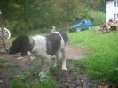 Picture 013