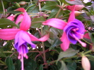 SANY0026