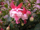 SANY0024