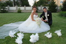 Inchiriem porumbei albi pentru nunta la cel mai mic pret !!! Tel.: 0767.509.208