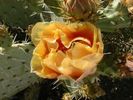 i_440_440_4302_4154_0[1]