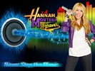 hannahmontanaforeverexc (1)