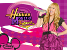 hannahmontanaforeverexc (2)