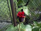 Pic0526110