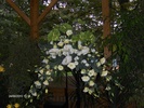 expo flora 18