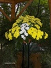expo flora 24
