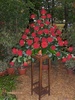 expo flora 19