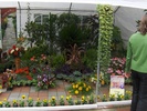 expo flora 64