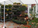 expo flora 65