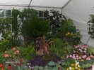 expo flora 66