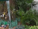 expo flora 71