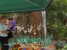 expo flora 73