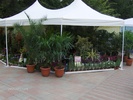 expo flora 77