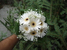 DSC00040