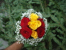 DSC00041