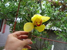 DSC00070