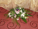 DSC00020
