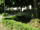 P7070033