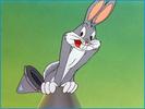 The_Bugs_Bunny_Mystery_Special_1254213710_1_1980