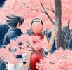 sasuke o duse pe sakura intr-un loc plin de ciresi infloriti.