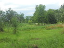 DSCN0184