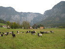 Dachstein--aici o sa urcam