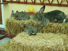 DSCF2012