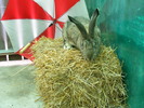 DSCF2013