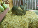 DSCF2044