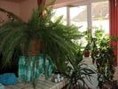 DSC00415